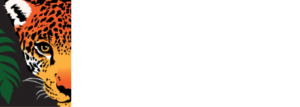 Rainforest Trust official logo